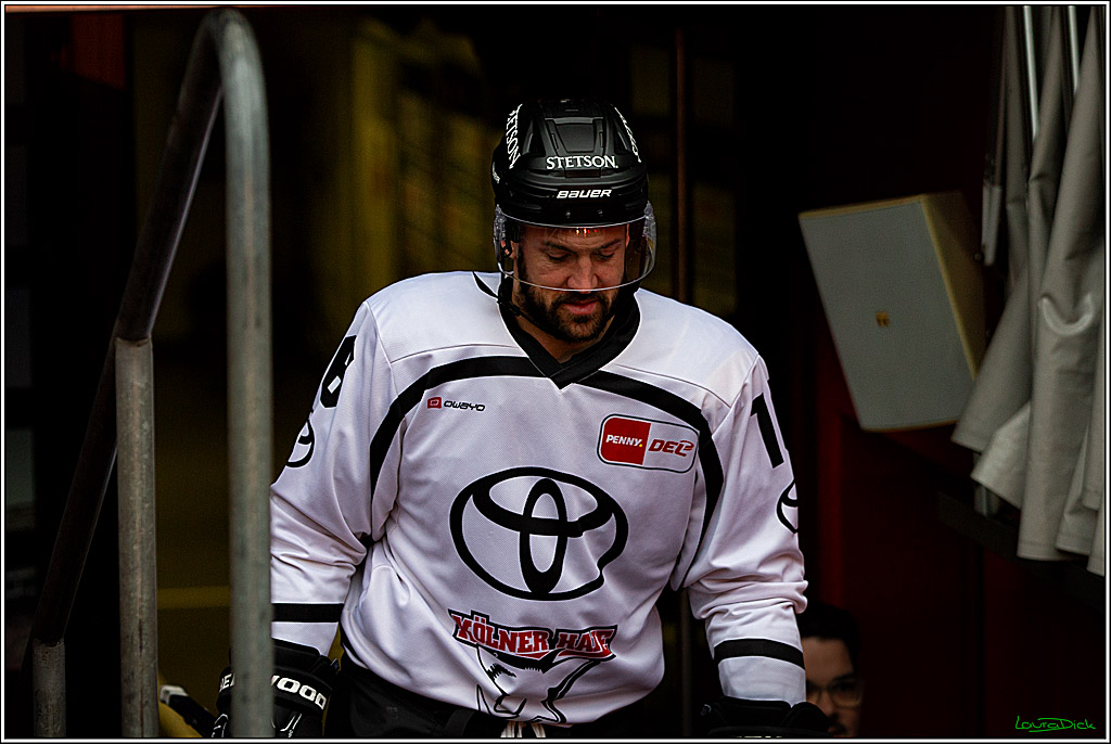 PENNY DEL; Koelner Haie Wintergame Training; Koeln, 02.12.2022